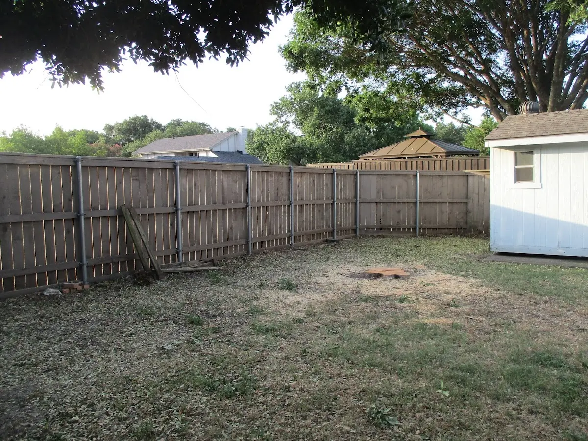 Cleared yard after professional tree removal in Phoenicia